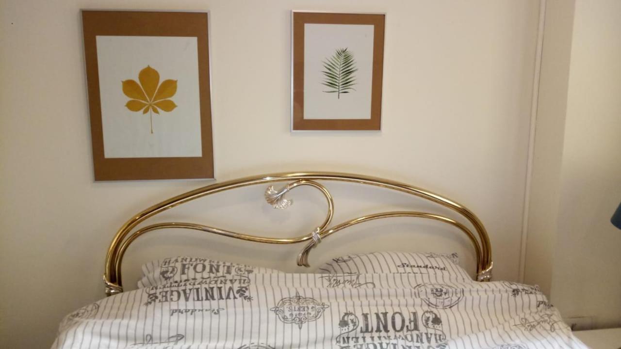 Kingsize Bed 2X2,20 Comfort Super Wifi 70 Mbps Studio! Soluň Exteriér fotografie